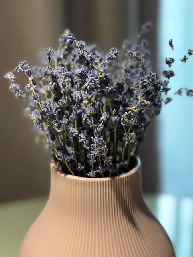 Jeny Boutique Apartment Târgu-Mureş Екстериор снимка